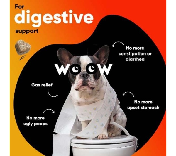 Dr Woow Digestion Soft Chews