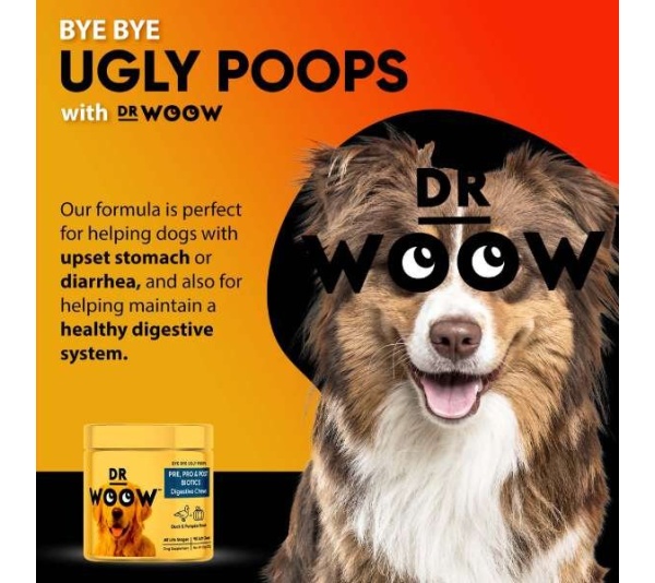Dr Woow Digestion Soft Chews