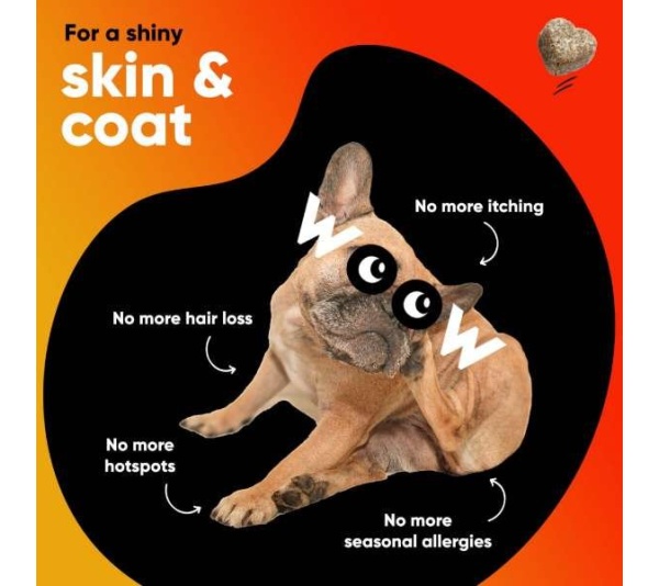Dr Woow Skin and Coat Soft Chews