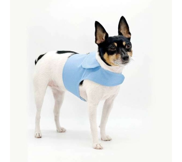 DCNY Periwinkle Harness Vest