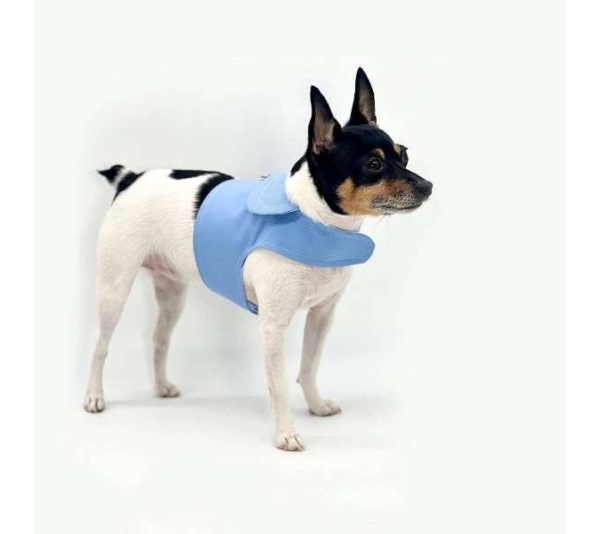 DCNY Periwinkle Harness Vest