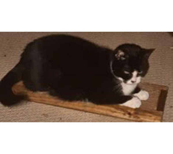 Wooden Cat Scratcher