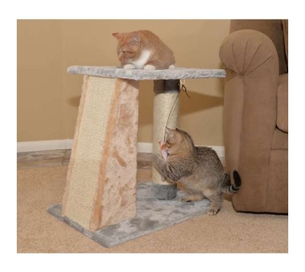 Armarkat  2 Level Platform Scratcher Real Wood Cat Post