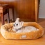 Armarkat Bolstered Pet Bed and Mat, ultra-soft Dog Bed S/M/L - S