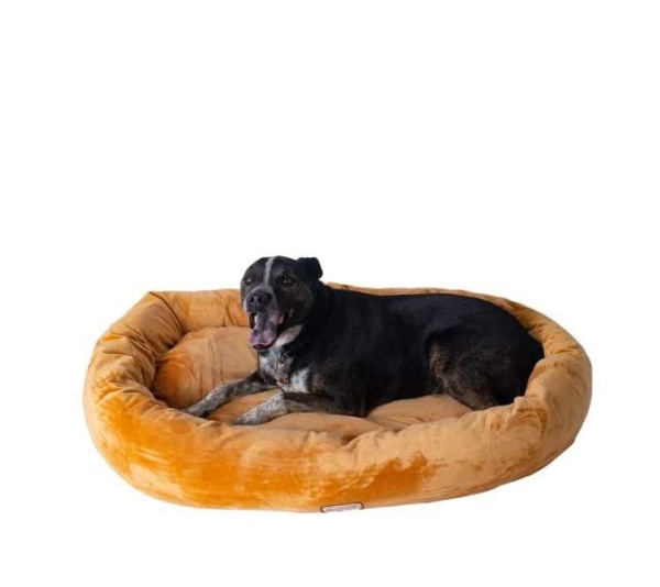 Armarkat Bolstered Pet Bed and Mat, ultra-soft Dog Bed S/M/L - L