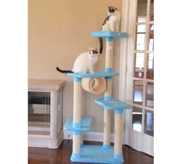 Armarkat Cat Climber, Real Wood Cat Junggle Tree Skyblue