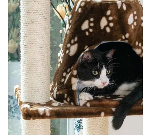 Armarkat Cat Tree Hammock Bed for Cats and Kittens, A6601