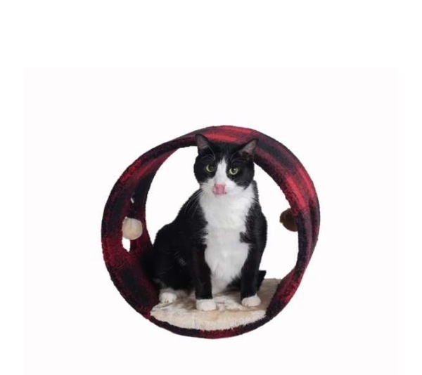 Armarkat Real Wood Cat Hideaway Tunnel, Scotch Plaid - 16"