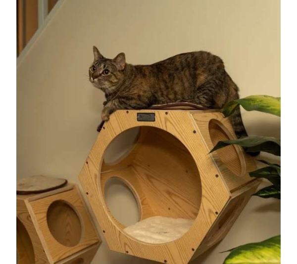 Armarkat Wall Series: Set of Two Wall Tree Additions W2107A