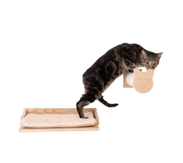 Armarkat Wall Series: Tree W1907A With Condo, Perch And Step