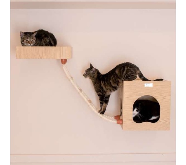 Wall Series: Tree W1907B W Condo, Perch And Soft Perch