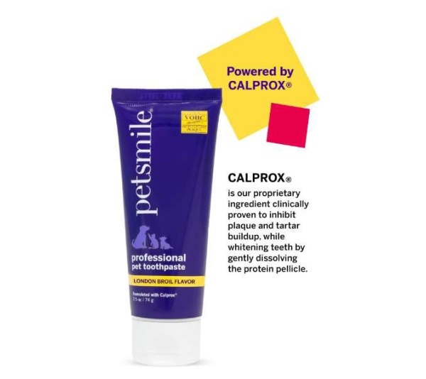 London Broil Flavor - Professional Pet Toothpaste  - Small