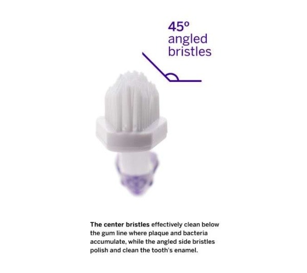 Professional Pet Toothbrush - Patented 45 Degree Dual-Ended Brush Head