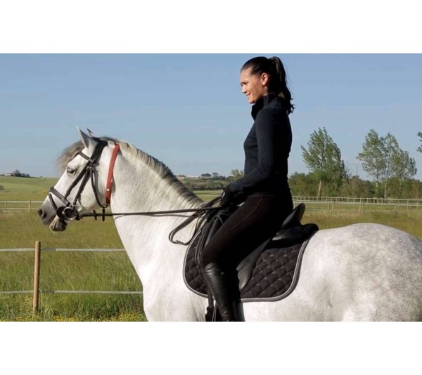 ALZOO Herbal Horse Collar