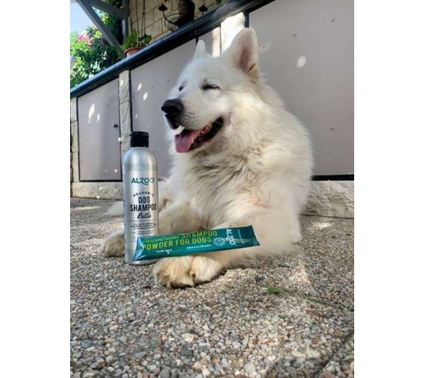 ALZOO Concentrated Shampoo Powder Pouch, Sensitive Skin