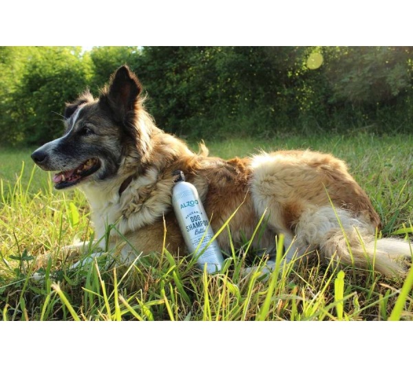 Alzoo Reusabel Aluminum Bottle, 16oz