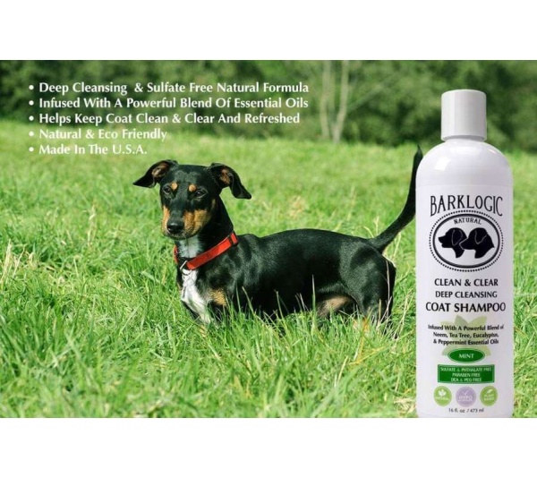 Mint - BarkLogic Clean & Clear Deep Cleansing Coat Shampoo