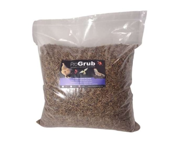 Dried Black Soldier Fly Larvae - 10lbs
