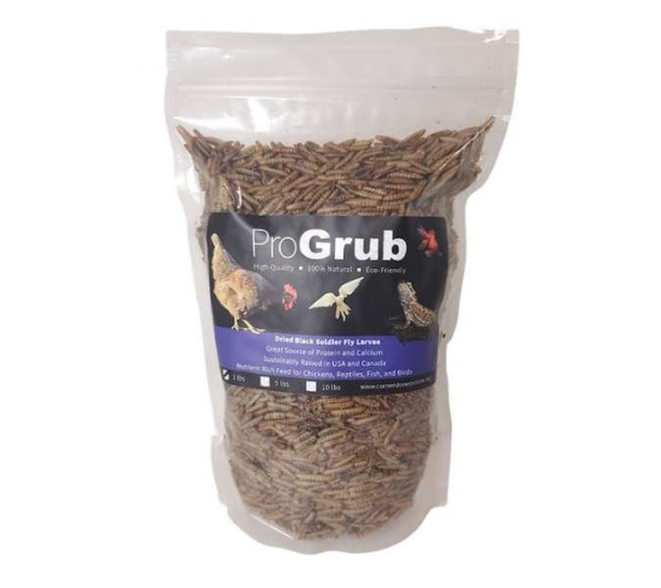 Dried Black Soldier Fly Larvae - 1lb