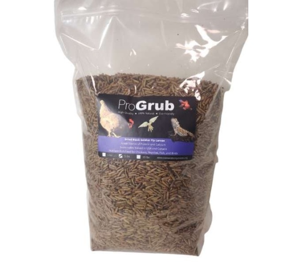 Dried Black Soldier Fly Larvae - 5lbs