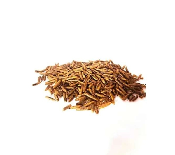 Dried Black Soldier Fly Larvae - 8oz
