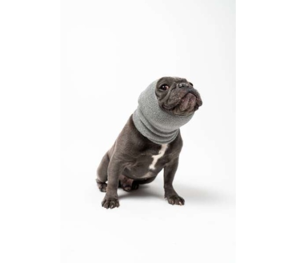 Grey - PET HOODZ DOG HOODIES FOR ANXIETY - Small