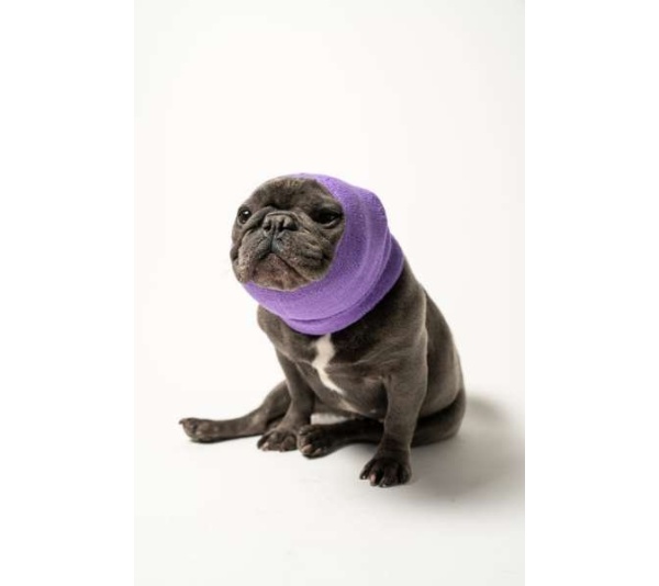 Lavender - PET HOODZ DOG HOODIES FOR ANXIETY - Large
