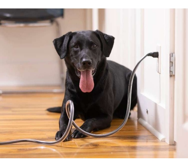 PETCORDS HEAVY DUTY 8FT CORD PROTECTOR FOR PETS MADE IN USA