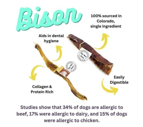 Colorado Bison Tendon Large