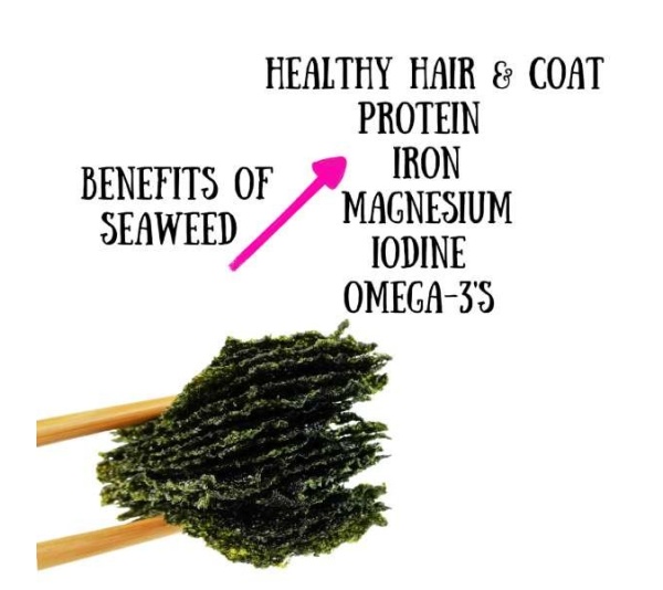 Tin Fish - Cat & Dog Treats