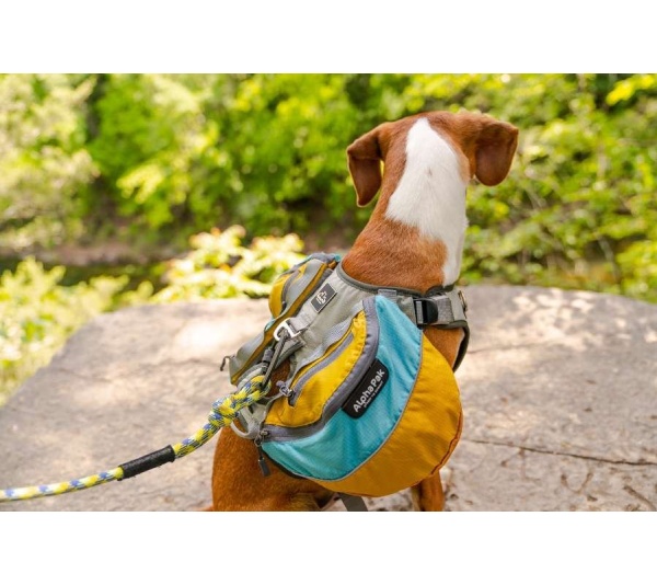 Adventurer Dog Pack (1-piece) - Small
