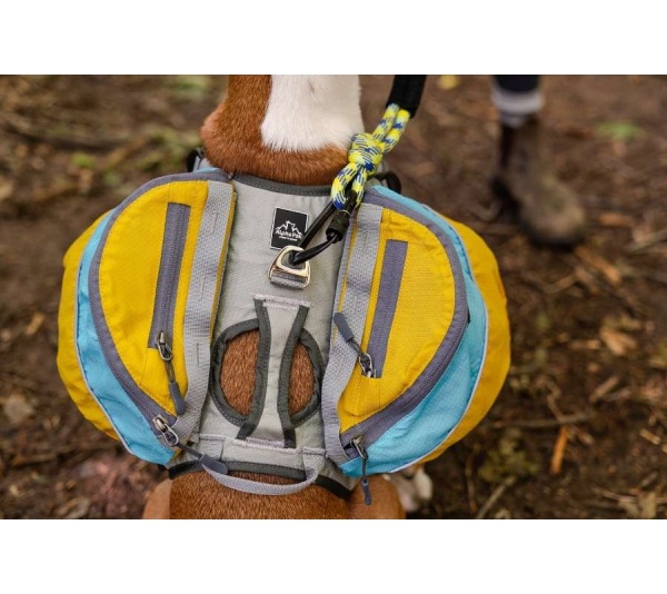 Adventurer Dog Pack (1-piece) - Large