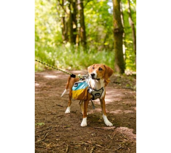 Adventurer Dog Pack (1-piece) - Large