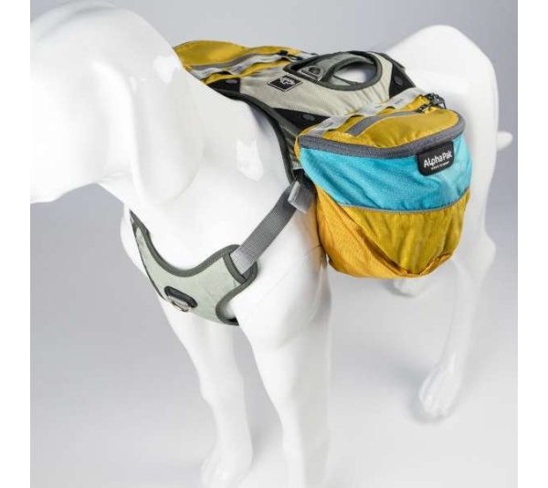 Adventurer EZ Latch Dog Pack (2-piece) - Small