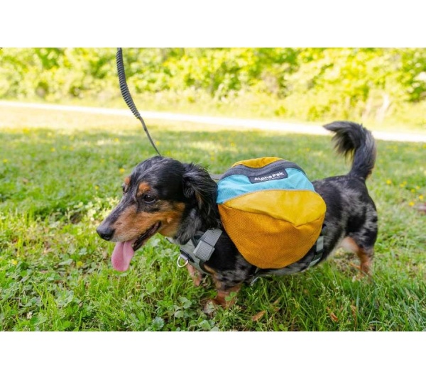 Adventurer EZ Latch Dog Pack (2-piece) - Extra Large