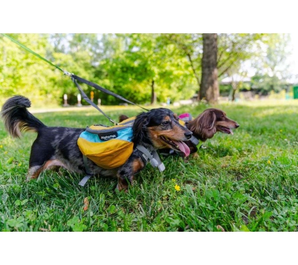 Adventurer EZ Latch Dog Pack (2-piece) - Extra Large