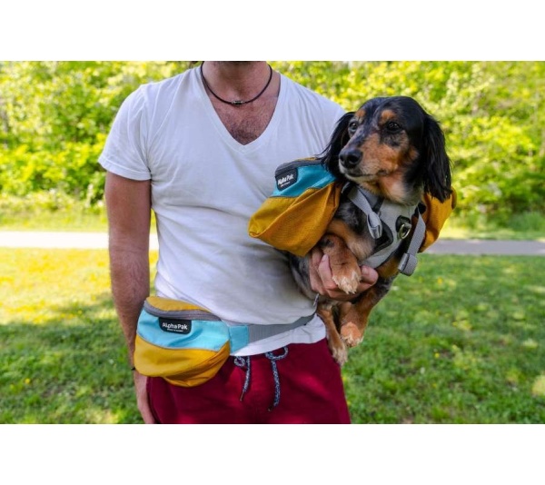 Adventurer  - Adventurer Hip Pack