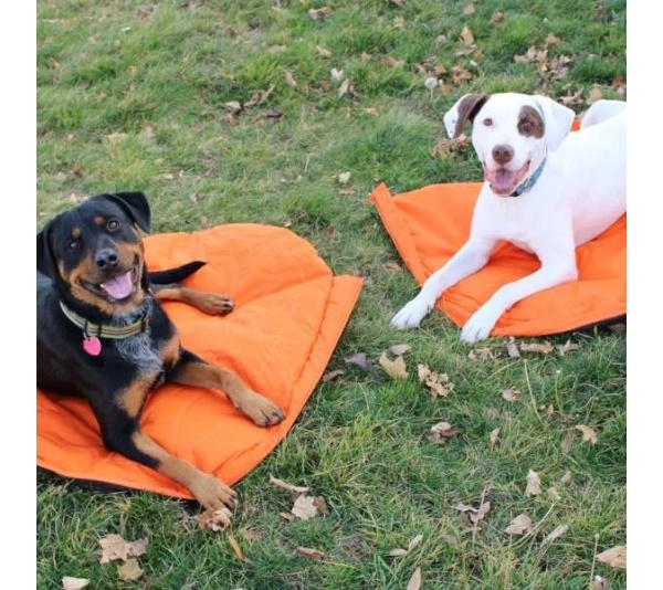 Nova Compressible Waterproof Dog Sleeping Bag - Nova Sleeping Bag