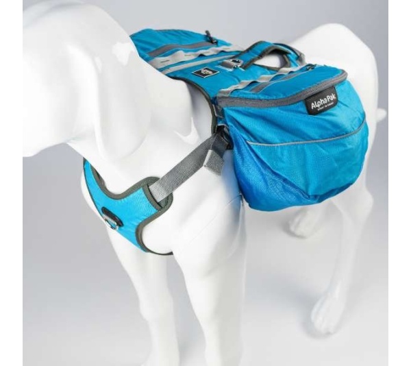 Pathfinder Dog Pack (1-piece) - Extra Large