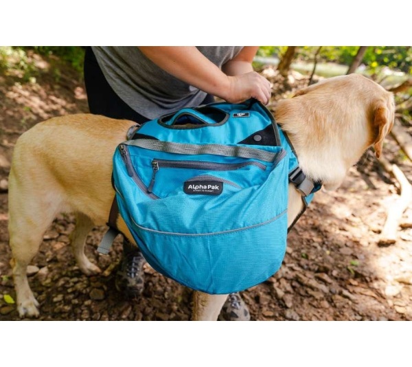 Pathfinder EZ Latch Dog Pack (2-piece) - Extra Large