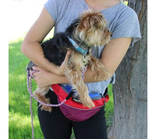 Sunset Hip Pack - Sunset