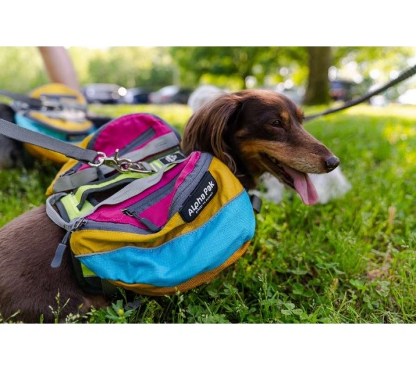 Wanderer Dog Pack (1-piece) - Medium