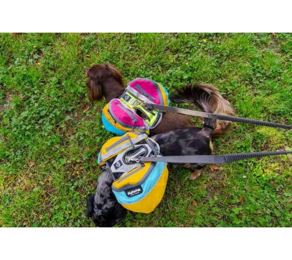 Wanderer Dog Pack (1-piece) - Small