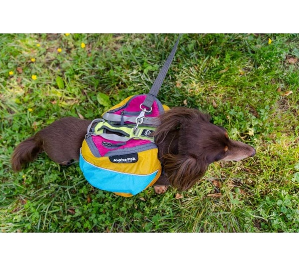 Wanderer Dog Pack (1-piece) - Extra Large
