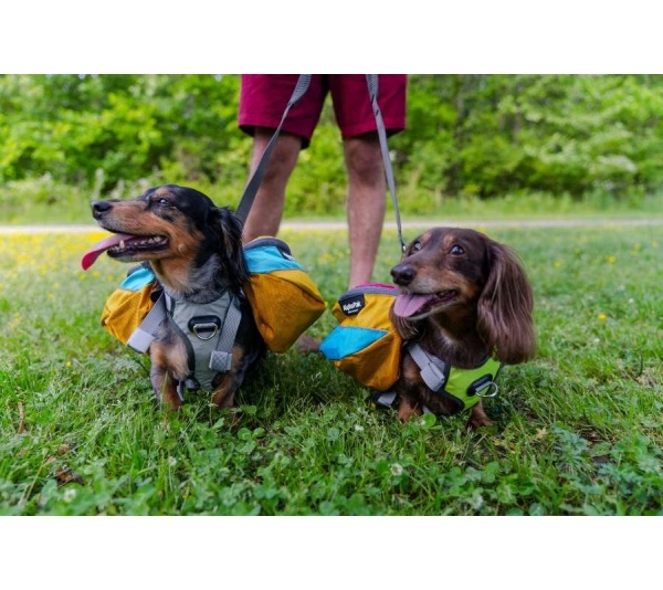 Wanderer Dog Pack (1-piece) - Medium