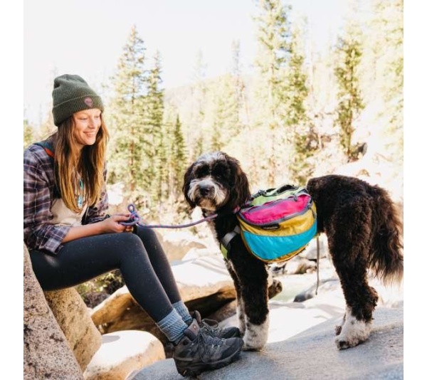 RETRO - Adventurer 2-piece Dog Pack With EZ Latch  Harness - Small