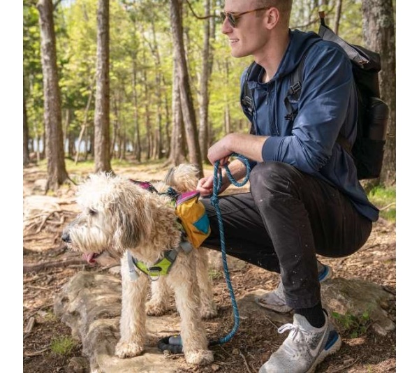 RETRO - Adventurer 2-piece Dog Pack With EZ Latch  Harness - Small