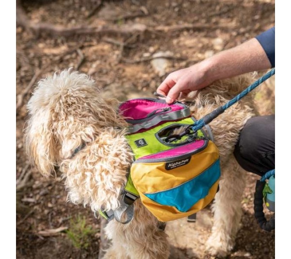 RETRO - Adventurer 2-piece Dog Pack With EZ Latch  Harness - Large