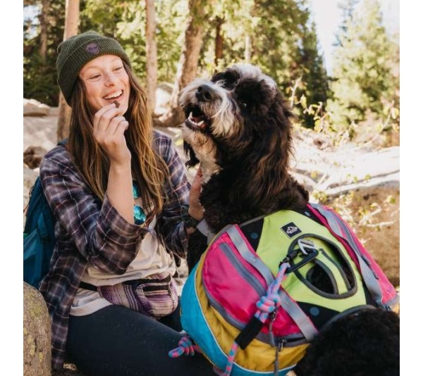 RETRO - Adventurer 2-piece Dog Pack With EZ Latch  Harness - Medium