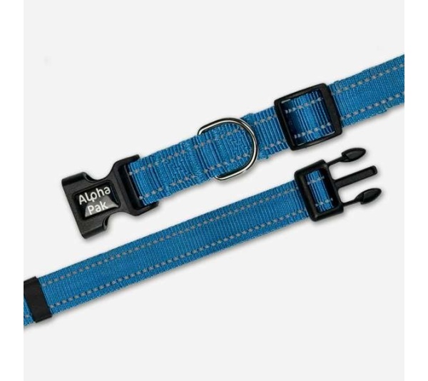 Jazz Blue  - Appalachian Jazz Blue Dog Collar - Small 5/8in wide by 8